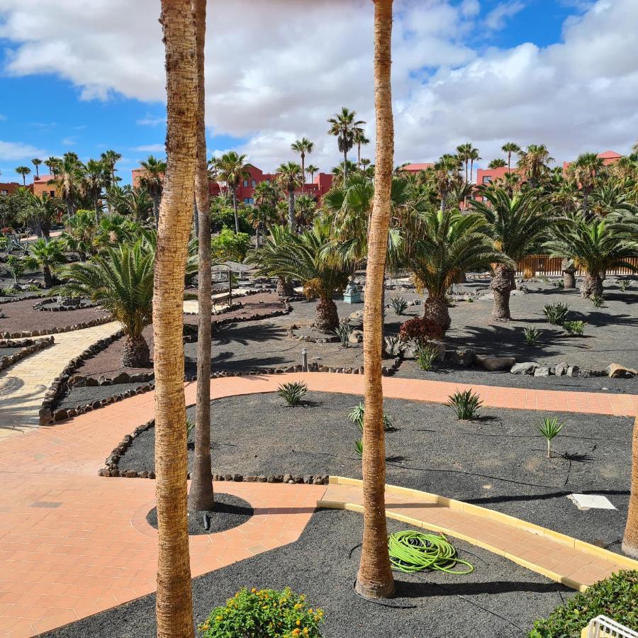 Oasis Royal F319 Apartment Corralejo Exterior photo